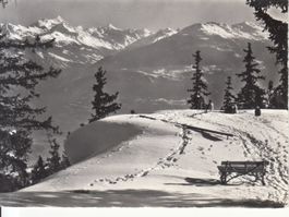 Vermala 1962