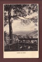 Kurhaus HERGISWALD ob Kriens - Garten - 1928