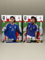 Panini Adrenalyn XL - 526 & 527
