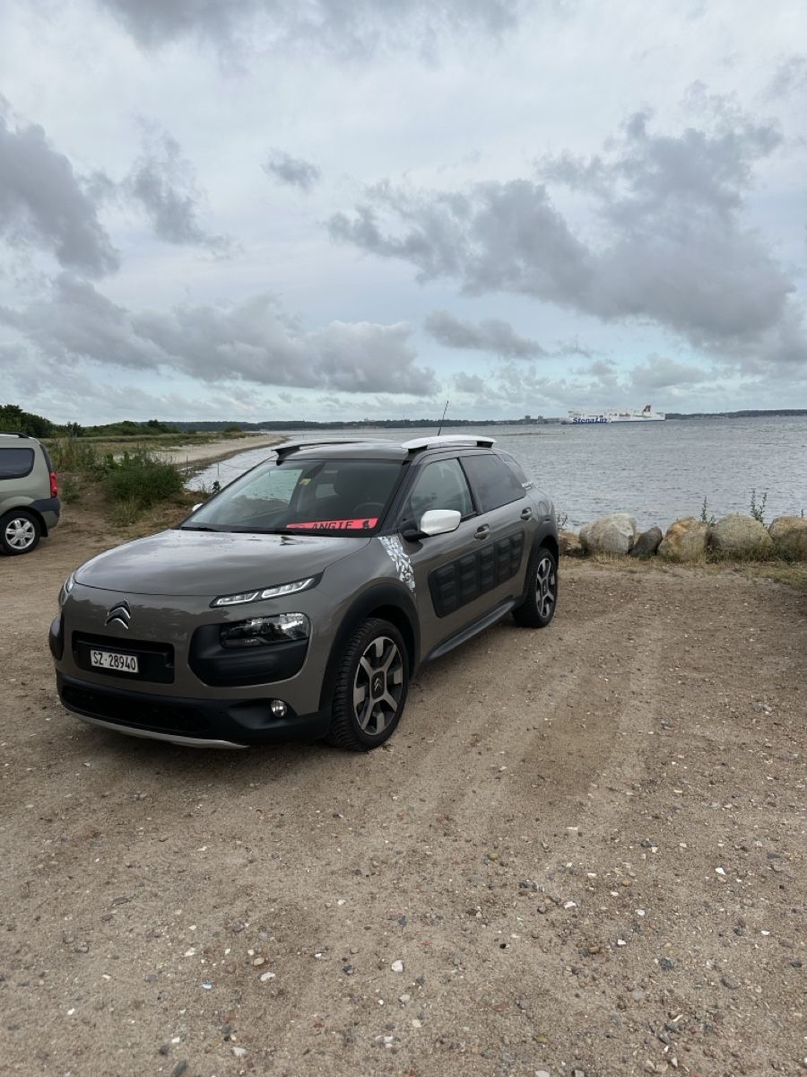 Citroën Autos: Citroen C4 Cactus Rip Curl – Gebraucht aus Wangen SZ von ang_vcw8