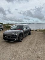 Citroen C4 Cactus Rip Curl