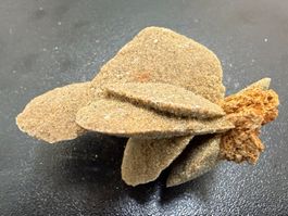 Wüstenrose, Namibia (3.34)
