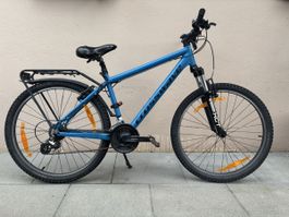 Crosswave S1000 City Mountainbike 26” – Top Zustand