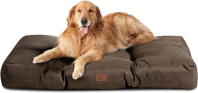Hundekissen waschbar hundematratze wasserdicht Hundebett (Neu und  originalverpackt) in Herisau fr CHF 89  mit Lieferung auf Ricardo kaufen