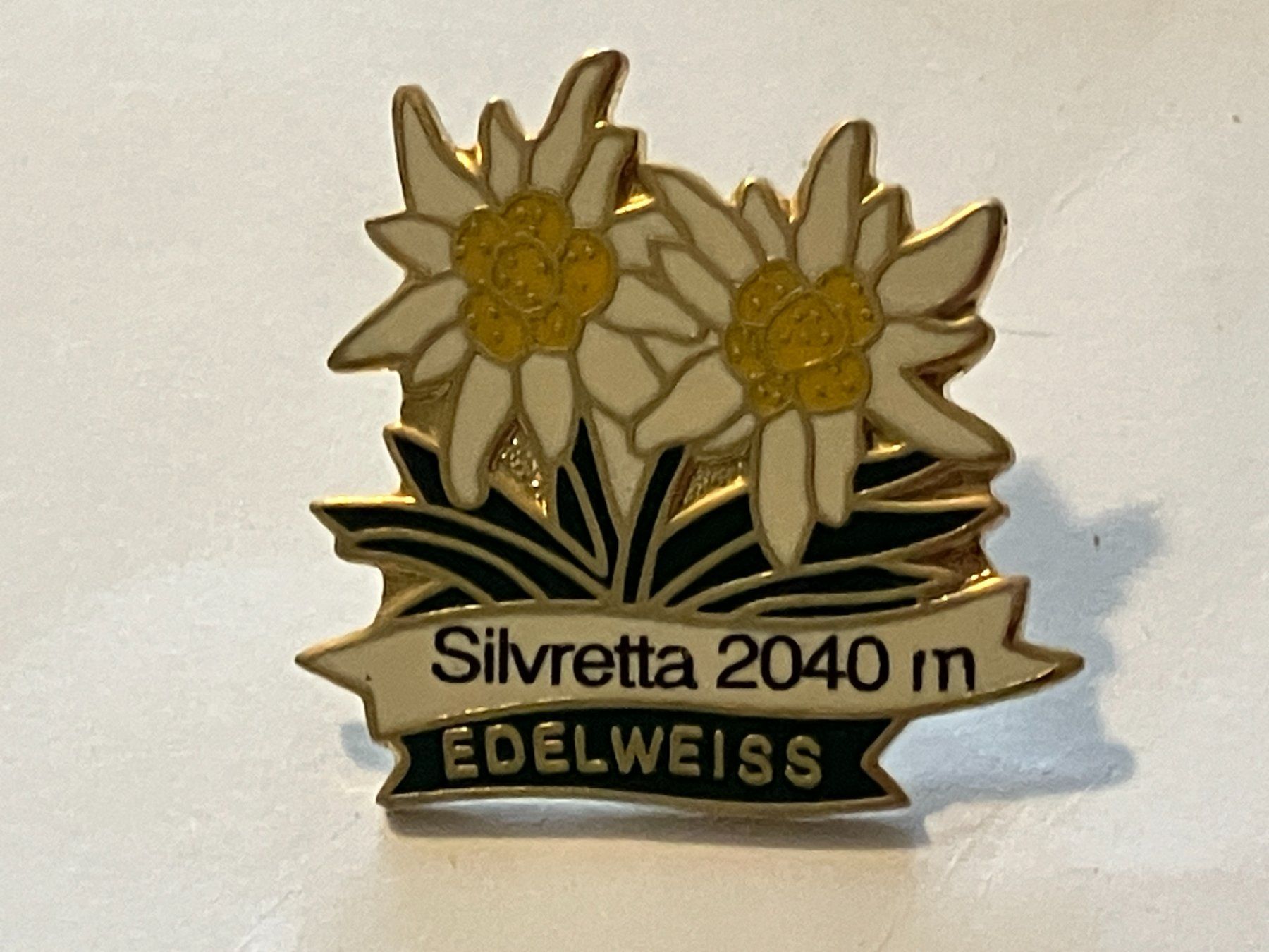 Placchette & Badge: 1 Pin Silvretta 2040m Edelweiss – Usato da Basel venduto da djwwpp