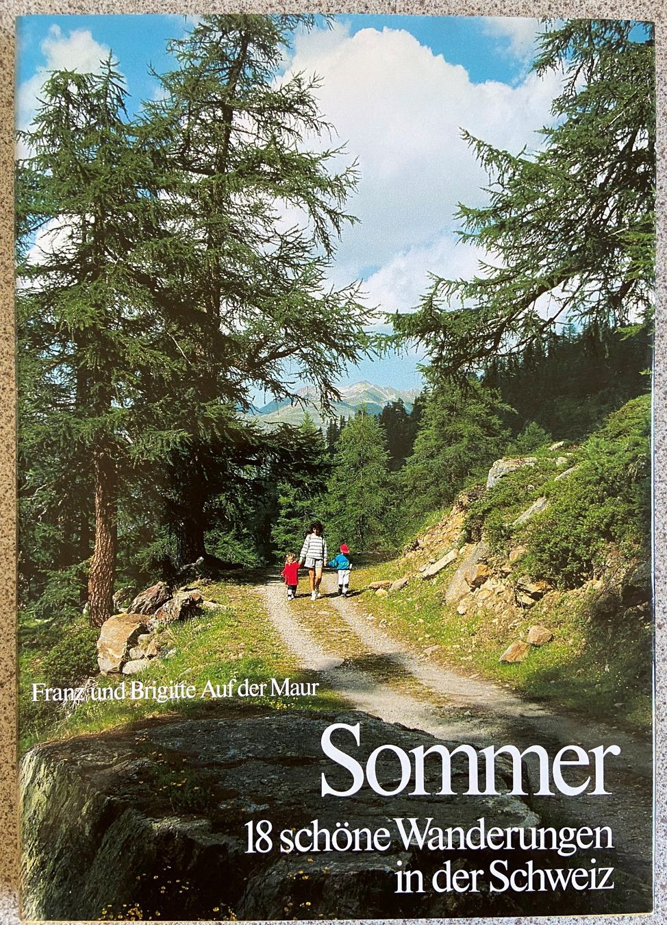 Libri: Lot Bücher Alpen – Usato da Böckten venduto da Hansi36 4
