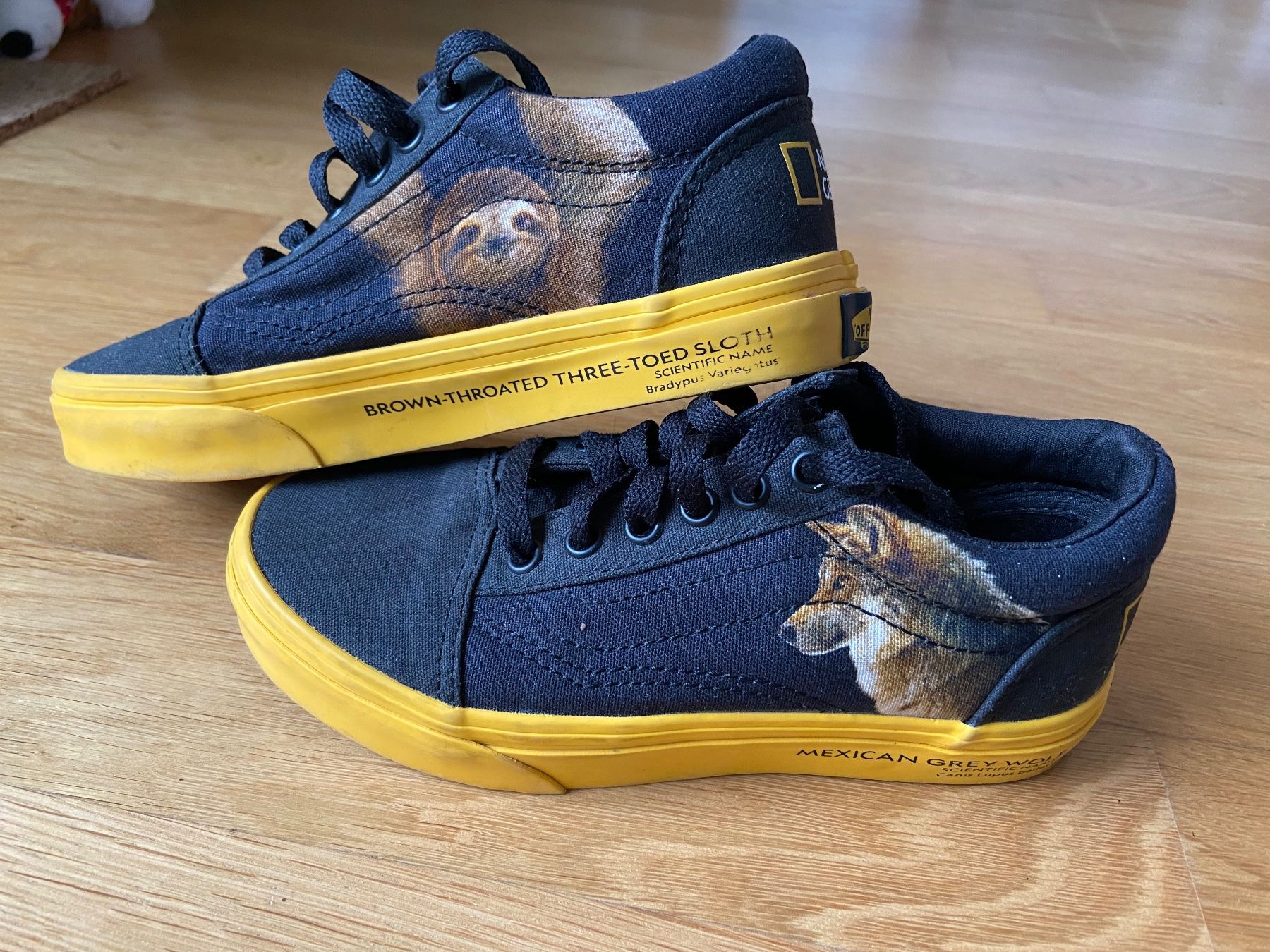 Vans Scarpe da uomo: Vans National Geographic – Usato da Riehen venduto da Loretxutxu 1