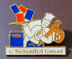 R684 - Pin Bäcker v. Siebenthal Gstaad Berneroberland
