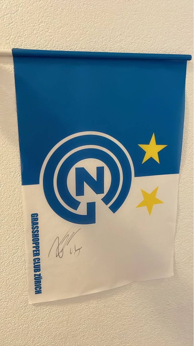 Autografi: Original GC Zürich Flagg mit Autogramm – Usato da Zürich venduto da Hikaru07Japan