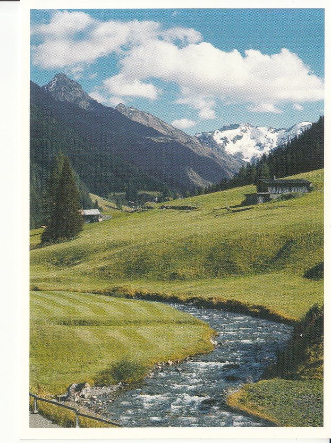 Cartoline postali: Dischmatal 2008 – Usato da Bürglen TG venduto da StampGraf