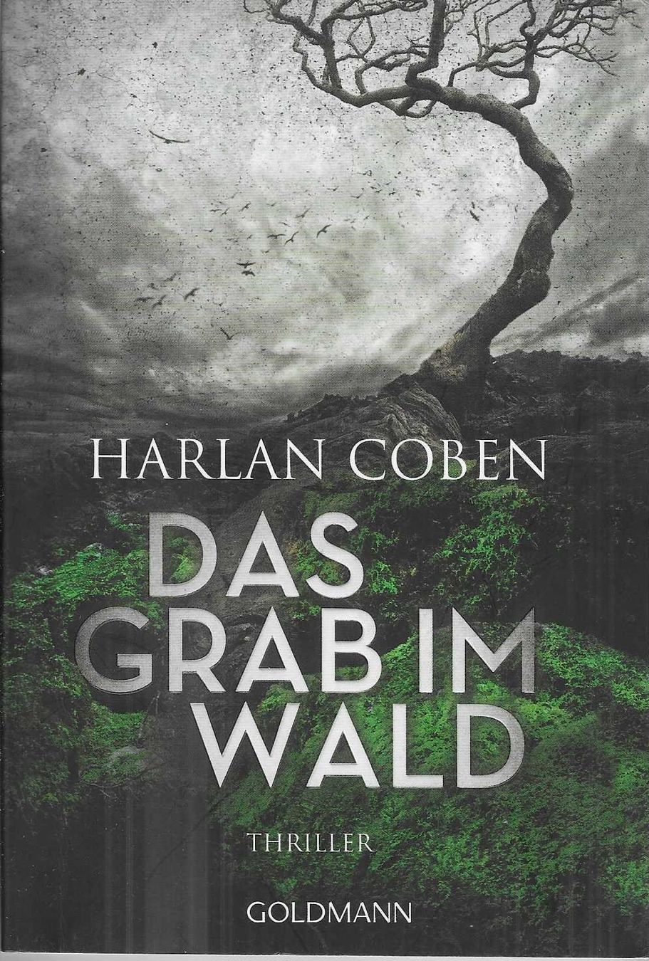 Libri: Harlan Coben - Das Grab im Wald – Nuovo (secondo la descrizione) da Flims - Dorf venduto da Stagediver