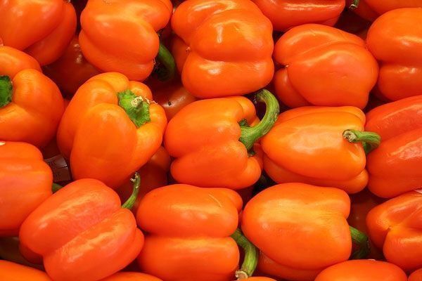Piante & sementi: 30 Samen Paprika REWIA Orange – Nuovo (secondo la descrizione) da Ehrendingen venduto da VerveinaSamen 2
