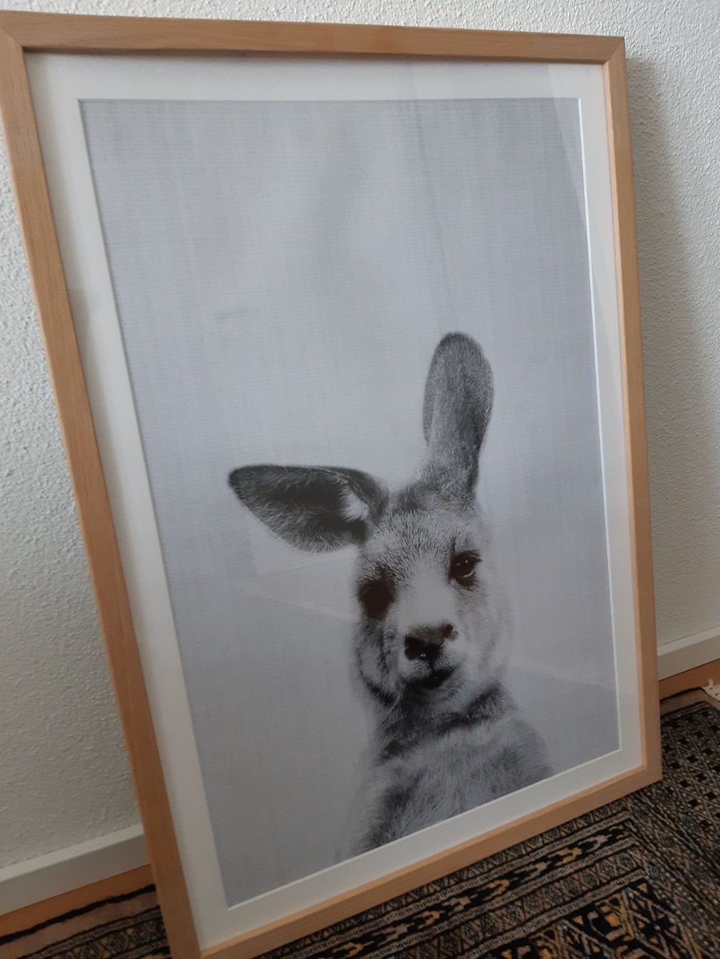 Foto & Immagini: Hasenbild – Nuovo (secondo la descrizione) da Wettingen venduto da beahu