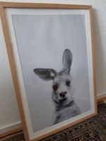 Hasenbild