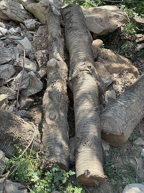 Articoli in legno: Kirsche als Massiv Holz  – Usato da Naters venduto da brunteles 4