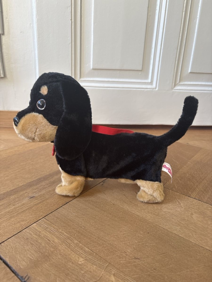 Giocattoli: AniMagic Hund – Usato da Bern venduto da 24Sonne24 1