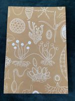 AK neu Illustration Pilz Royal Botanic Gardens Fungarium
