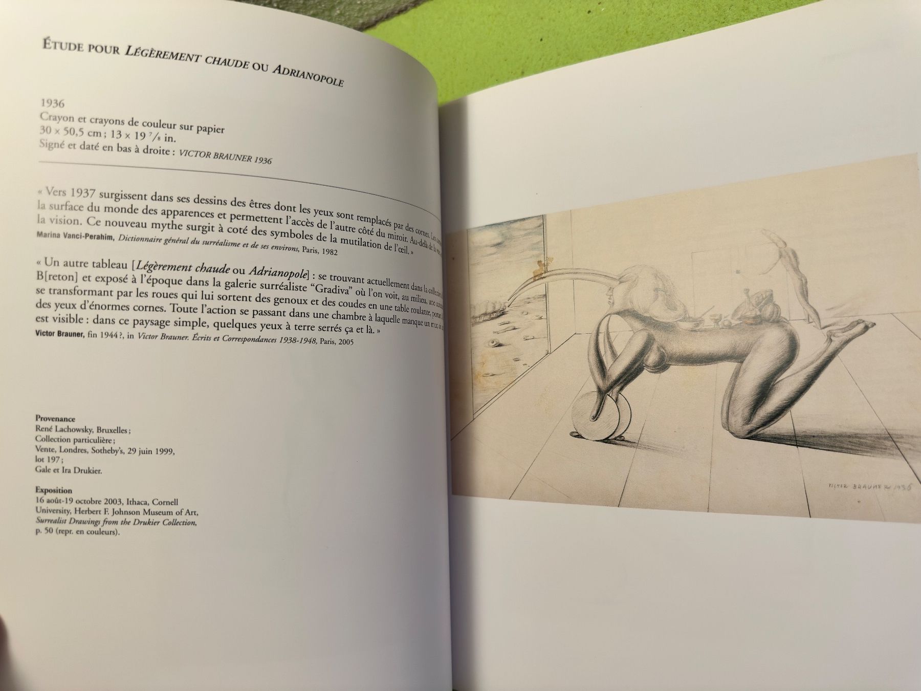 Libri: Michel Butor: Victor Brauner. – Usato da Zürich venduto da allp 4