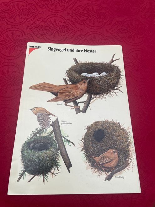Libri: Singvögel und ihre Nester Kosmos – Usato da Bergdietikon venduto da book-4-you