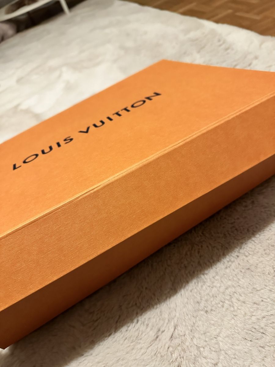 Louis Vuitton Borse: Louis Vuitton Box – Nuovo e nell'imballaggio originale da Zürich venduto da Coco.swiss 1