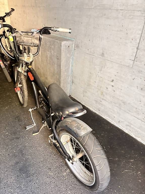 Biciclette: Bicicletta Harley Davidson – Usato da Bellinzona venduto da and_7pfg 3