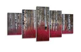 + LEINWAND WANDBILDER VERSCHIEDENE BILDER MOTIVE 200 X 100cm