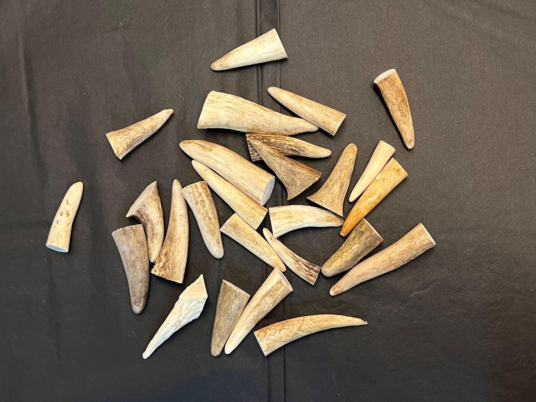 Kit bricolage: Hirsch Geweih Horn Hirschgeweih Spitzen 4-8cm – Usato da Vaduz venduto da hirschjager