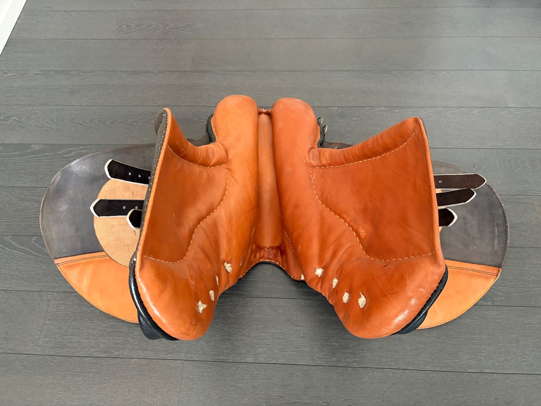 Selle & Accessori: Selle d’équitation usage mixte Pandur-S – Usato da Grand-Lancy venduto da lau_l7wv 3