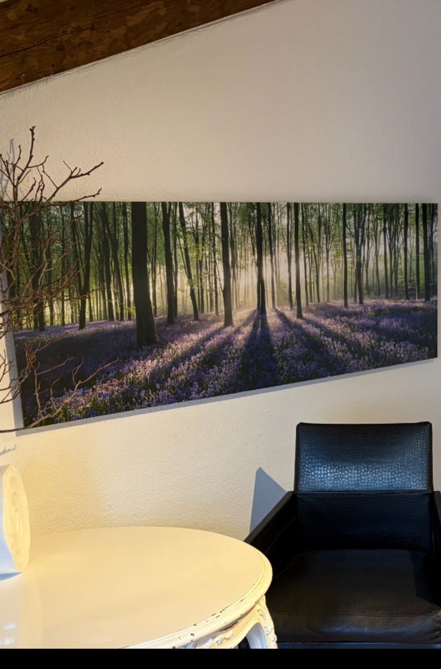 Foto & Immagini: Bild Wald – Usato da Solothurn venduto da See203