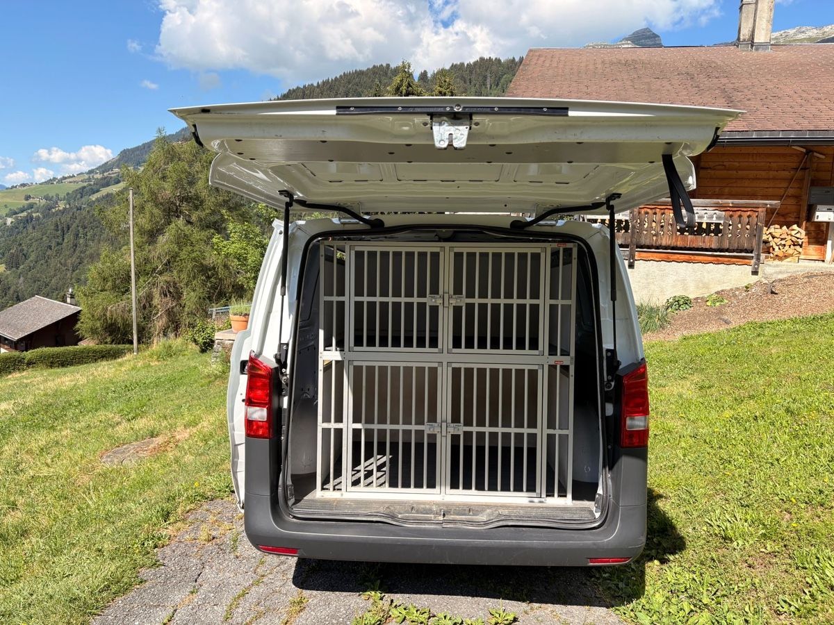 Mercedes-Benz Nutzfahrzeuge: Vito 4x4 automatic avec/sans cage à chien – Gebraucht aus Leysin von luc_htt5 4