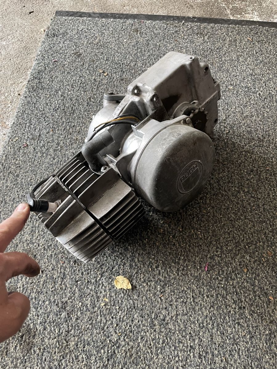 Puch Motori: Puch Ur Maxi Motor – Usato da Gwatt (Thun) venduto da omega87 1