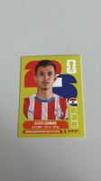 Carte panini 2026 - PAR 12
