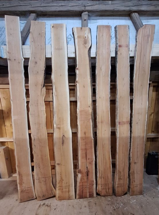 Articoli in legno: 7 Eibenbretter 40mm, trocken – Nuovo (secondo la descrizione) da Waldkirch venduto da bauprofi87