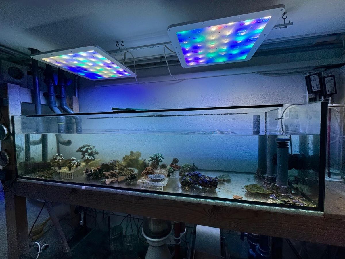 Acquari: Technikbecken zu Aquarium  – Usato da Jonschwil venduto da ursula9 2