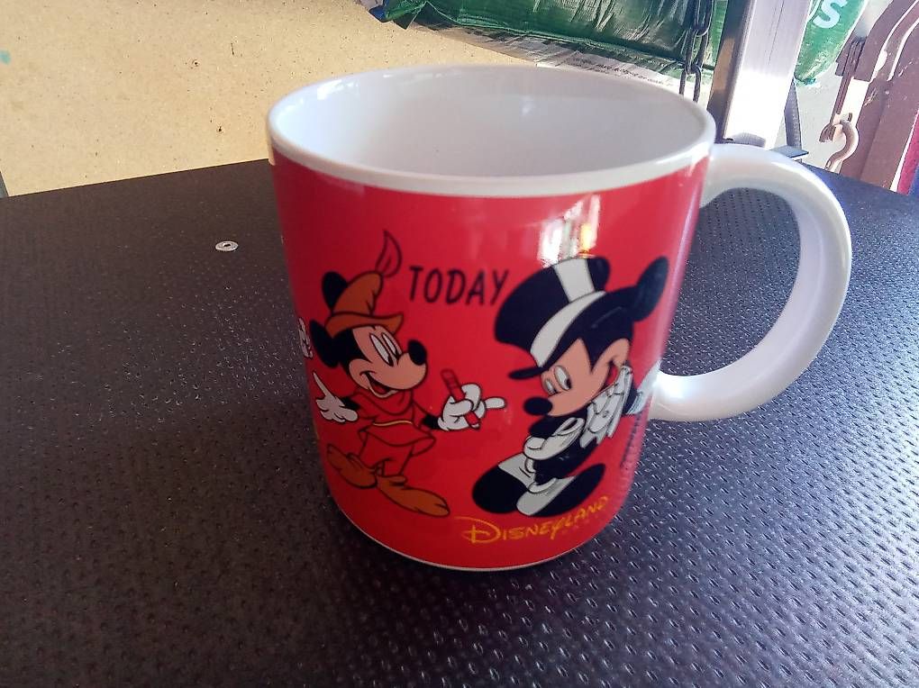 Tazze: Tasse Disneyland Paris, Jg. 2000 – Usato da Schiers venduto da Pet70 2