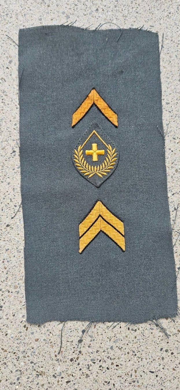 Schweizer Armee Placchette & Badge: *** Militär Abzeichen *** – Nuovo e nell'imballaggio originale da Riedholz venduto da fr_sIruP