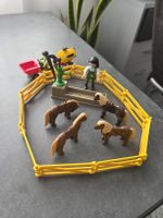 Playmobil Pferdeset mit Brunnen (alt)