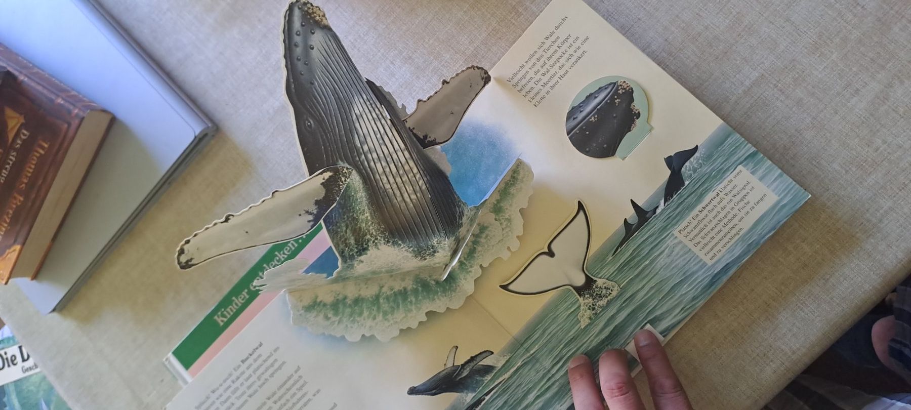 Libri: Wale und dinosaurier buch – Usato da Bitsch venduto da jajo79076 4