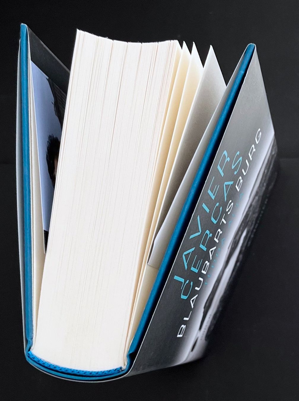 Bücher: Blaubarts Burg – Javier Cercas – Roman – Fischer – Top – Neu (gemäss Beschreibung) aus Bern von frank.j.webb 4