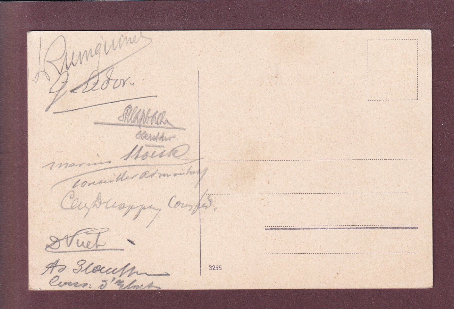 Cartoline postali: BERN vom Münster aus – Usato da Pully venduto da nicecards 1