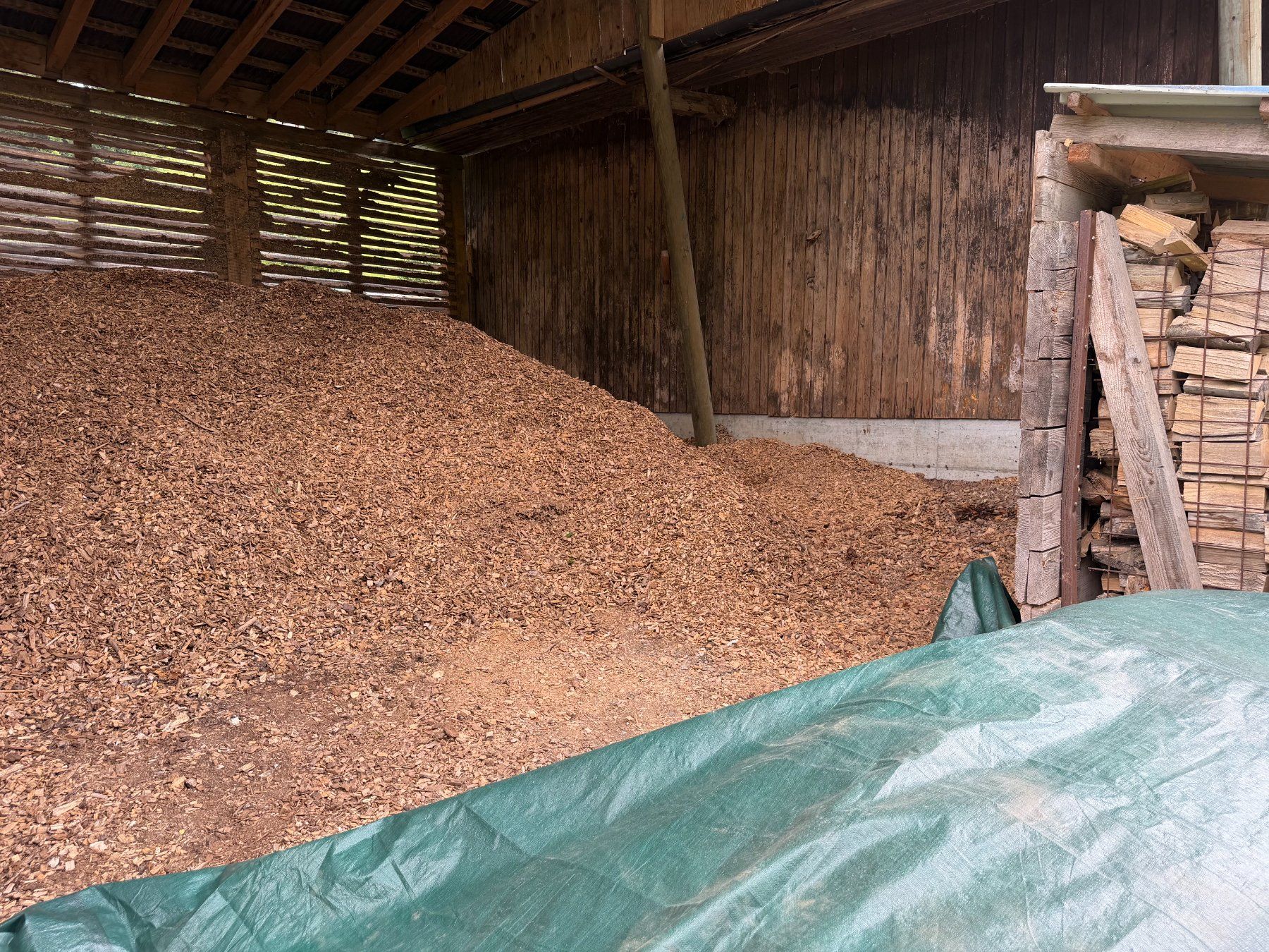 Holzartikel: Hackschnitzel / Holzschnitzel – Gebraucht aus Bigenthal von Beule 1