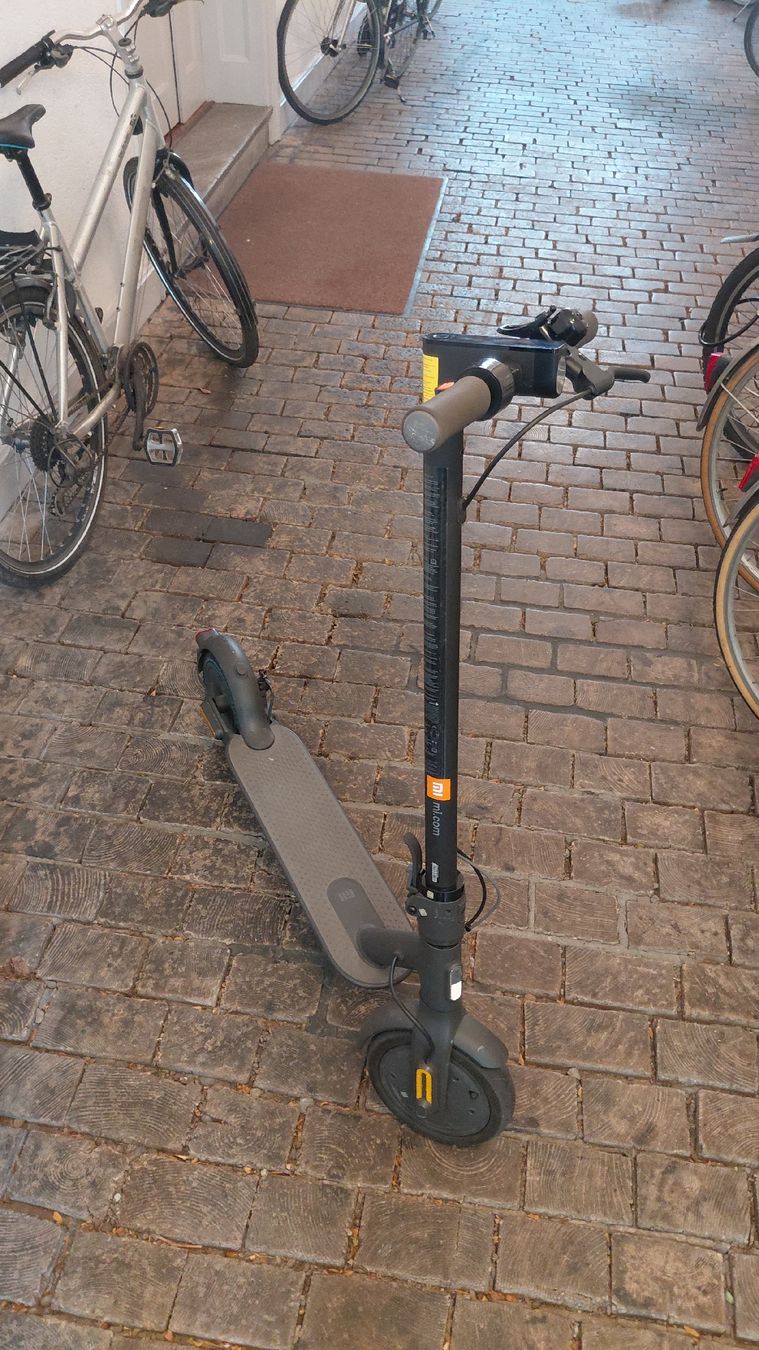 Xiaomi Kickboard: Xiaomi E Scooter Essential – getuned 30 km/h+ – Usato da Basel venduto da flash_sales