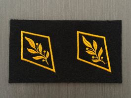 Kragenpatten Höherer Stabsoffizier der Schweizer Armee