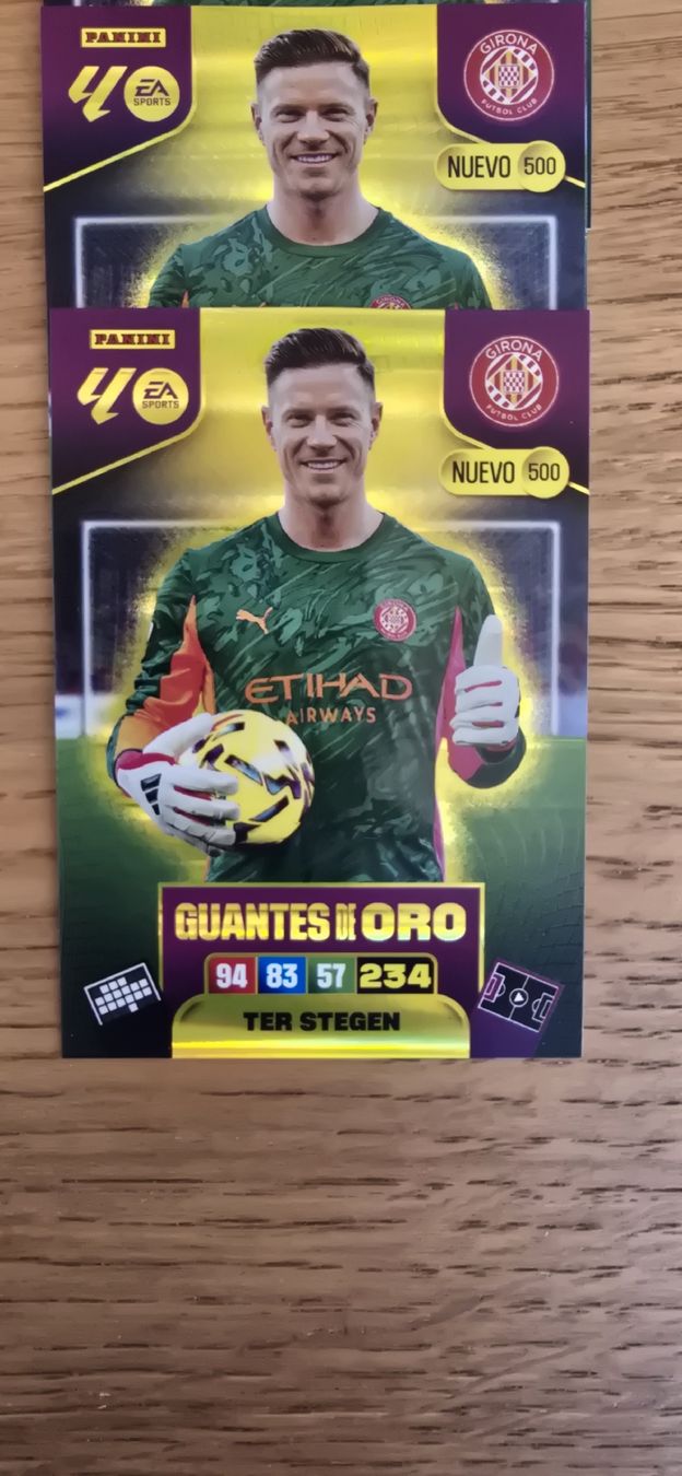 Panini Carte collezionabili: Laliga Panini GUANTES DE ORO – Usato da Safnern venduto da Brionne 1