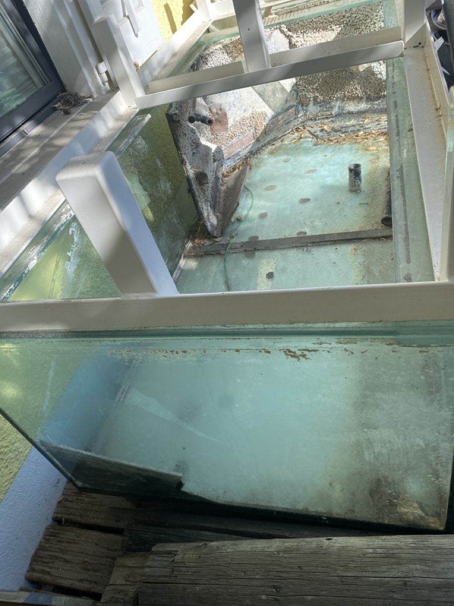 Acquari: Grosses Aquarium – Usato da Wettingen venduto da vpr_9gz6 3