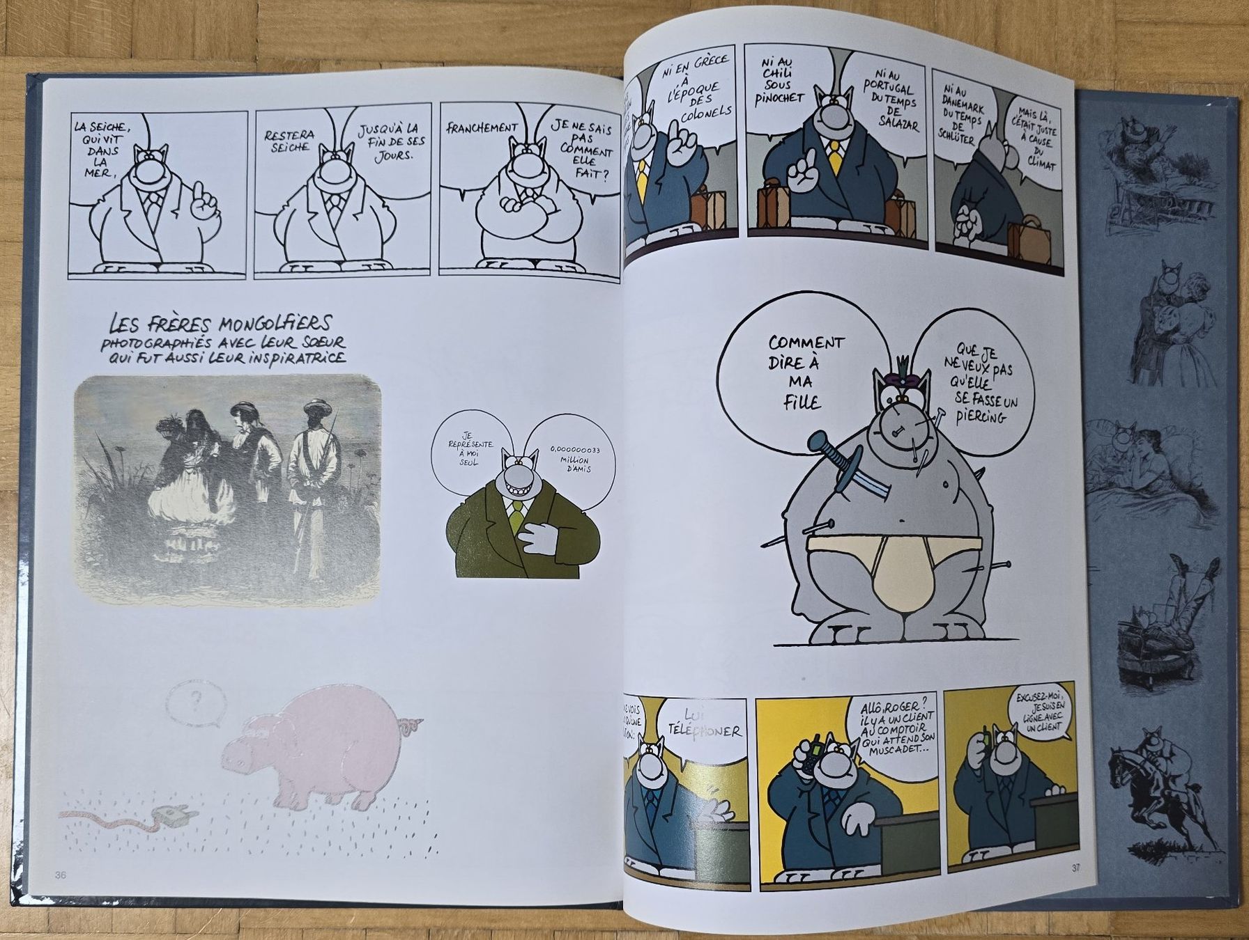 Fumetti: Le Chat : Tome 12 - Et vous, Chat va ? – Usato da Froideville venduto da xXSebastienXx 2