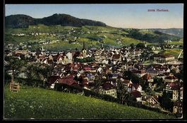 AK Herisau, Ortsansicht, 1924