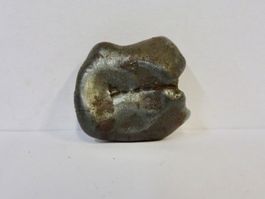 Meteorit Eisenmeteorit Oktaedrit SIKHOTE ALIN RUSSLAND 1947