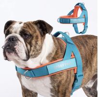 Spark Paws – Harnais pour chien – Taille 2 – Neuf