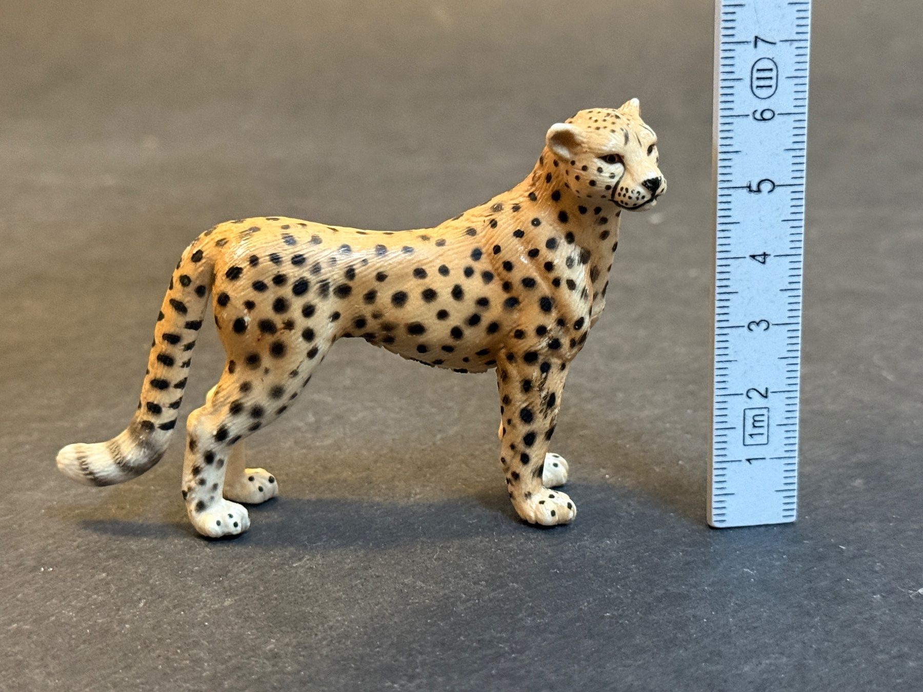 Schleich Figurines: Schleich Gepard 14143 – D'occasion à Ennetbaden par mapa05 1